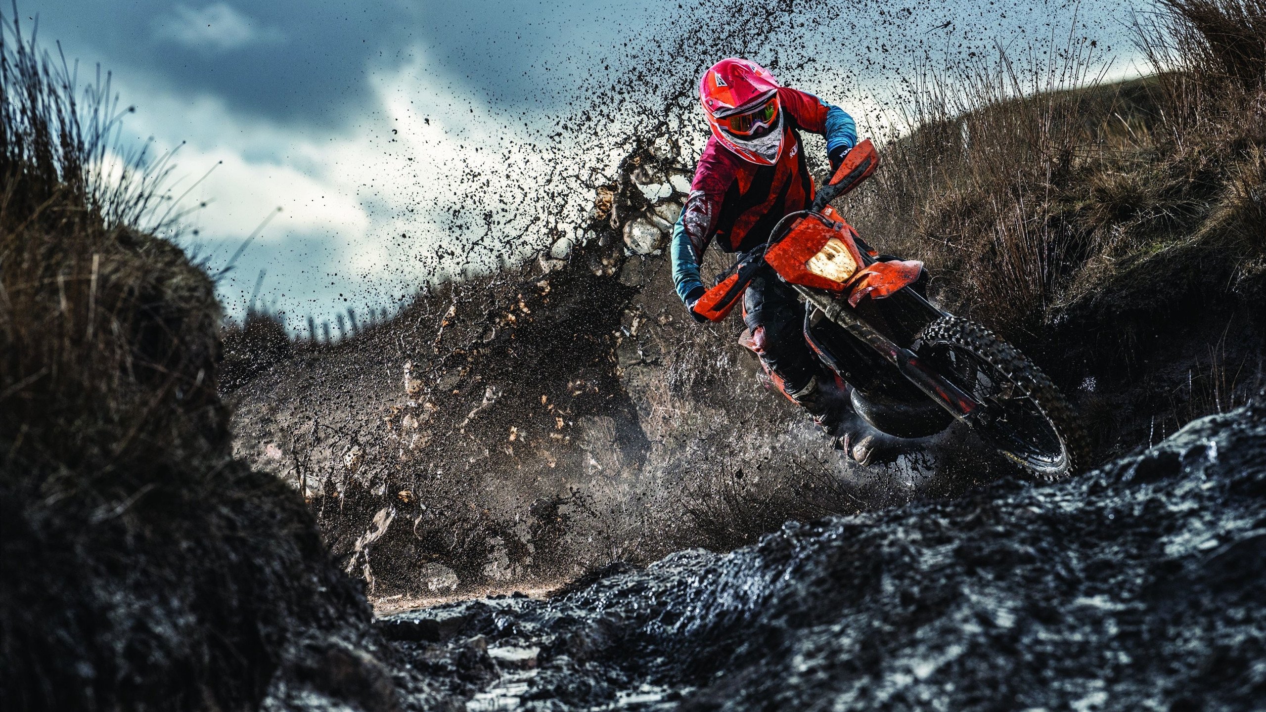 帕金斯女子蝶泳决赛强势登场,女子蝶泳历届冠军